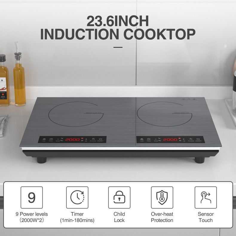 Placa de Inducción de Doble Qu - Commercial Kitchen Zones reseña y precio