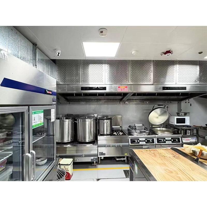 Campana Extractora Comercial P - Range Commercial Kitchen reseña y precio