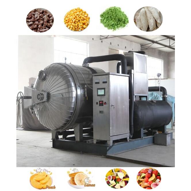Liofilizador de alimentos pilo - Commercial Food Dehydrator reseña y precio