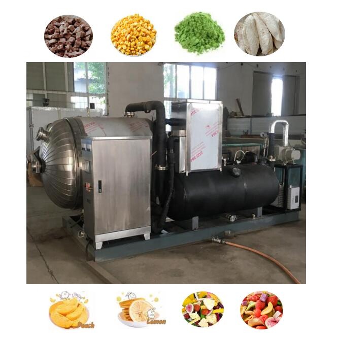 Liofilizador de alimentos pilo - Commercial Food Dehydrator reseña y precio